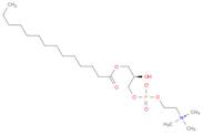 1-MYRISTOYL-SN-GLYCERO-3-PHOSPHOCHOLINE