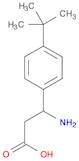 3-AMINO-3-(4-TERT-BUTYL-PHENYL)-PROPIONIC ACID