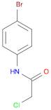 N-(4-BROMOPHENYL)-2-CHLOROACETAMIDE