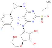 1,2-Cyclopentanediol, 3-[7-[[(1R,2S)-2-(3,4-difluorophenyl)cyclopropyl]aMino]-5-(propylsulfonyl)-3H-1,2,3-triazolo[4,5-d]pyriMidin-3-yl]-5-(2-hydroxyethoxy)-, (1S,2S,3R,5S)-