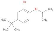 2-BroMo-4-t-butyl-1-isopropoxybenzene