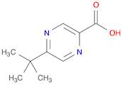5-(Tert-butyl)pyrazine-2-carboxylic acid