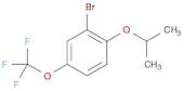 2-BROMO-1-ISOPROPOXY-4-(TRIFLUOROMETHOXY)BENZENE