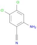 2-Amino-4,5-dichloro-benzonitrile