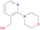 (2-MORPHOLINO-3-PYRIDINYL)METHANOL