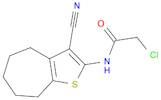 2-CHLORO-N-(3-CYANO-5,6,7,8-TETRAHYDRO-4H-CYCLOHEPTA[B]THIOPHEN-2-YL)-ACETAMIDE