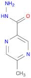 5-METHYLPYRAZINE-2-CARBOHYDRAZIDE