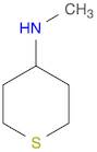 N-methyltetrahydro-2H-thiopyran-4-amine