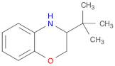 3-(TERT-BUTYL)-3,4-DIHYDRO-2H-1,4-BENZOXAZINE