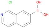 1-chloroisoquinolin-7-yl-7-boronic acid