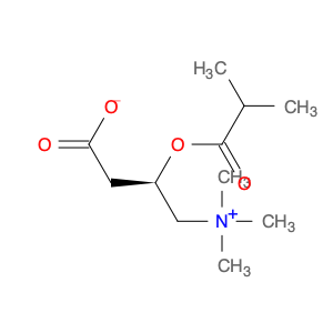(3R)-3-(2-methylpropanoyloxy)-4-trimethylazaniumylbutanoate