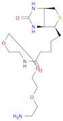 N-BIOTINYL-3,6,9-TRIOXAUNDECANE-1,11-DIAMINE