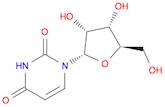 1-(α-D-ribofuranosyl)uracil
