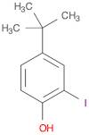 4-(tert-Butyl)-2-iodophenol