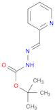 (E)-tert-butyl 2-(pyridin-2-ylmethylene)hydrazinecarboxylate