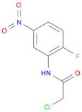 2-chloro-N-(2-fluoro-5-nitrophenyl)acetaMide