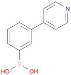 3-(pyridin-4-yl)phenylboronic acid