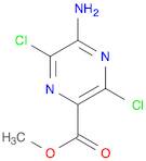 Methyl 5-aMino-3,6-dichloropyrazine-2-carboxylate