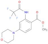 Methyl 4-Morpholino-2-(trifluoroacetaMido)benzoate