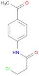 N-(4-ACETYLPHENYL)-3-CHLOROPROPANAMIDE