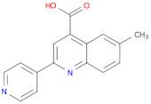 6-METHYL-2-PYRIDIN-4-YLQUINOLINE-4-CARBOXYLIC ACID