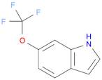 6-(trifluoroMethoxy)-1H-indole