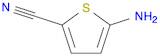 5-AMinothiophene-2-carbonitrile