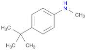 (4-tert-Butyl-phenyl)-Methyl-aMine