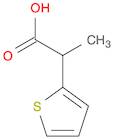 2-(2-thienyl)propionic acid