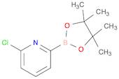 6-CHLOROPYRIDINE-2-BORONIC ACID PINACOL ESTER