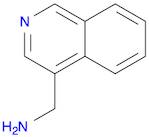 C-ISOQUINOLIN-4-YL-METHYLAMINE