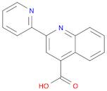 2-PYRIDIN-2-YL-QUINOLINE-4-CARBOXYLIC ACID