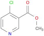 Methyl 4-Chloronicotinate
