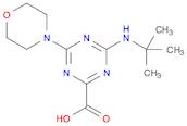 4-TERT-BUTYLAMINO-6-MORPHOLIN-4-YL-[1,3,5]TRIAZINE-2-CARBOXYLIC ACID