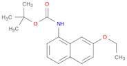 tert-butyl 7-ethoxynaphthalen-1-ylcarbaMate