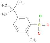 Benzenesulfonyl chloride, 5-(1,1-dimethylethyl)-2-methyl- (9CI)