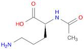 N-α-ACETYL-L-ORNITHINE