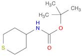 Carbamic acid, (tetrahydro-2H-thiopyran-4-yl)-, 1,1-dimethylethyl ester (9CI)