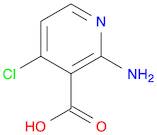 2-aMino-4-chloropyridine-3-carboxylic acid