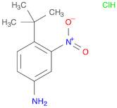 4-tert-Butyl-3-nitro-phenylaMine hydrochloride