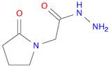 2-(2-OXOPYRROLIDIN-1-YL)ACETOHYDRAZIDE