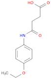 4-(4-ETHOXYANILINO)-4-OXOBUTANOIC ACID