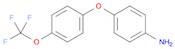 4-[4-(trifluoromethoxy)phenoxy]aniline