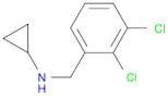 Cyclopropyl-(2,3-dichloro-benzyl)-aMine