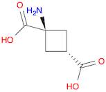 1,3-Cyclobutanedicarboxylic acid, 1-amino-, cis-