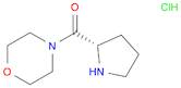 MORPHOLIN-4-YL-(S)-PYRROLIDIN-2-YL-METHANONE