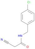 N-(4-CHLOROBENZYL)-2-CYANOACETAMIDE