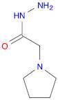2-(1-pyrrolidinyl)acetohydrazide