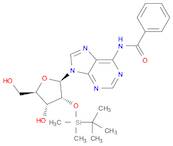 N6-benzoyl-2'-O-(tert-butyldiMethylsilyl)adenosine