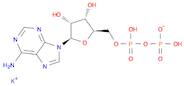 Adenosine 5'-(trihydrogen diphosphate), monopotassium salt